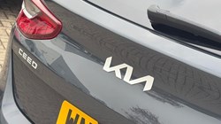 2023 (73) KIA CEED 1.5T GDi ISG 3 5dr 5654058
