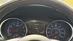 2024 (74) KIA CEED 1.5T GDi ISG 138 GT-Line 5dr DCT 5736848