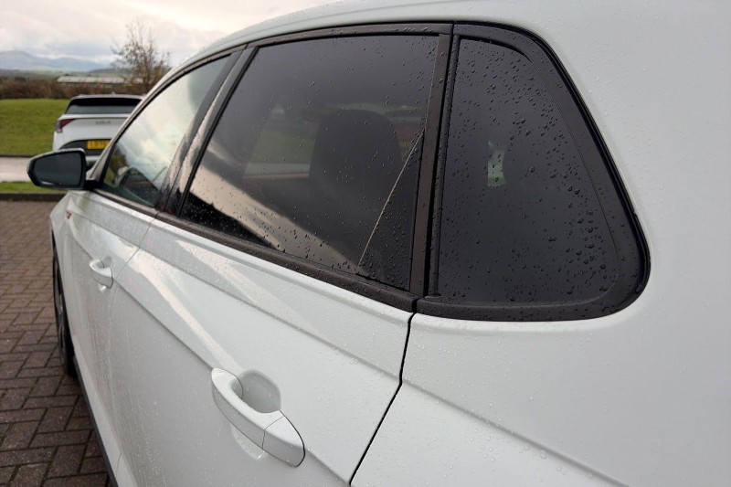 2019 (19) VOLKSWAGEN POLO 2.0 TSI GTI PLUS 5dr DSG 5958649
